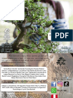 Catalogo Imperio Bonsai Febrero