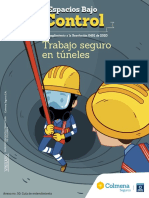 E 85 2 50 Guia Entendimiento Trabajo Seguro Tuneles2021