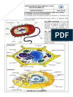 GUIA DE APRENDIZAJE CIENCIA 3 SEXTO 1  PERIODO.