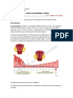 ciclo menstrual  11 de junio