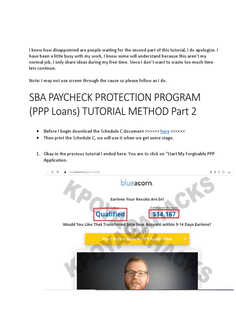 PPP Loan Application Guide | PDF | Identity Document | Screenshot