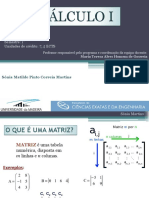 AULA 1 - Matrizes-Conceitos Básicos, Classificaçao e Operações