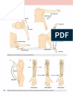 Gray Anatomia para Estudiantes 3ed