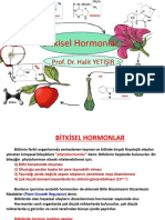 BBF Bitki Hormonları