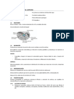 Síndrome del túnel carpiano: anatomía, diagnóstico y tratamiento