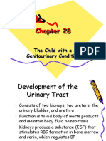 The Child With A Genitourinary Condition