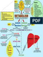 METABOLISM-AQA-4 4 2 3 - (v3)