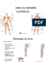 Anatomie Du Membre Supérieur-2-1
