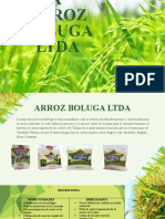 Diapositivas Prospectiva Arroz Boluga (1) (1)