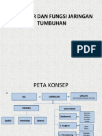 PPT, Struktur Jaringan Dan Organ Tumbuhan