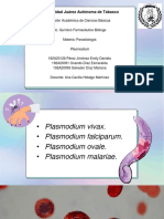 Plasmodium