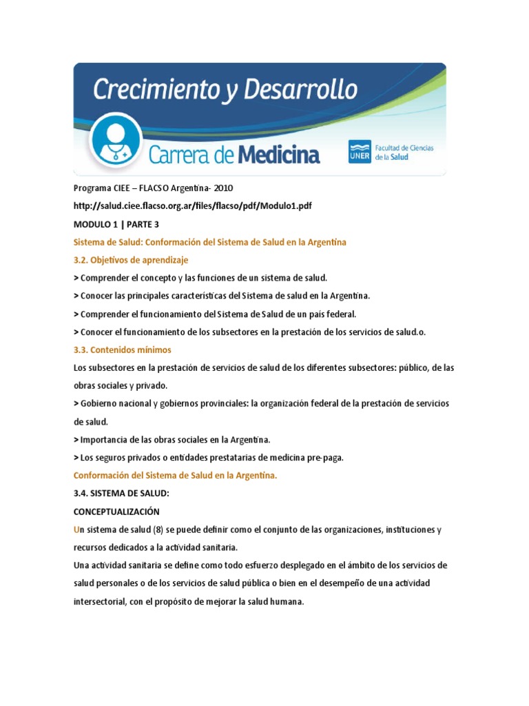 Sistema de Salud en Argentina: Estructura y Funciones | PDF | Sistema ...
