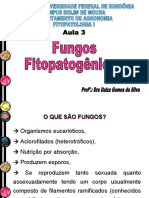 Aula 3 - Fungos Fitopatogênicos