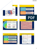 Corazón Derecho Corazón Izquierdo: Fisiología Del Músculo Cardíaco