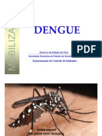 Dengue Informacoes