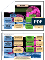 Malaria Control y Prevencion