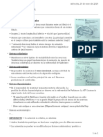 Asimetría Cerebral