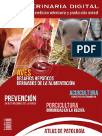 Magazine ES 10 VeterinariaDigital 2022