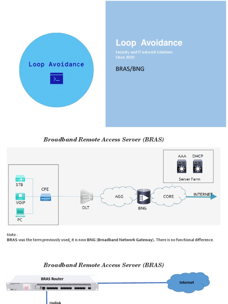 BRAS or BNG PDF Computer Network Networking Standards
