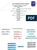 Mapa Conceptual-Las Vias de Recursos en Materia Laboral