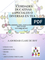 Necesidades educativas en TEA