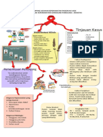 Mind Mapping HIV