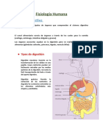 Alex Rivas - Apuntes de Fisiología Humana