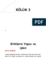 Hafta - Bitkilerin Yapisi Ve Islevi