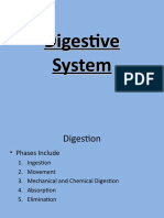 Digestive, Urinary, Reproductive