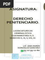 GUIA DIGITAL_DERECHO PENITENCIARIO