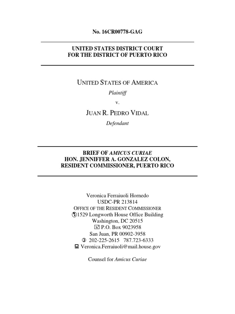 Amicus Brief | PDF | Eighth Amendment To The United States Constitution ...
