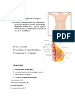 Semio Quiro Abdomen