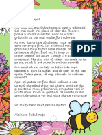Scrisoare din partea albinutei Bubulinuta - color
