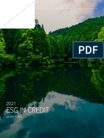 ESG - Fitch-Ratings-Esg-In-Credit-White-Paper-2021