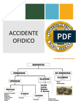 Accidente Ofidico