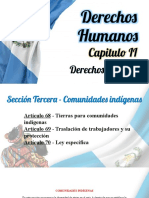 DERECHOS HUMANOS CAP. II