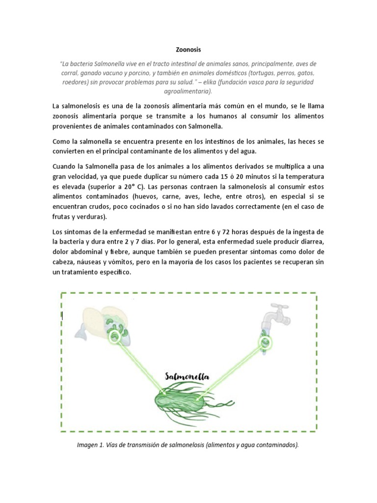 Salmonella y Zoonosis PDF Salmonela Alimentos