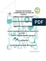 Trabajo de investigacion APS Santos Salinas Rafael Eduardo