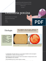 Disentería Porcina