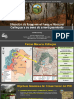 Situación de Fuego en El Parque Nacional Calilegua y Su Zona de Amortiguamiento