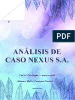análisis de caso ORGANIZACIONAL NEXUS S.A 