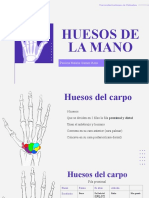 Copia de Bones Anatomy Breakthrough by Slidesgo