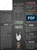 ESTRUTURA FUNDIÁRIA