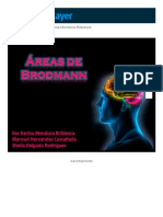 Áreas de Brodmann Ilse Karina Mendoza Bribiesca - PPT Descargar