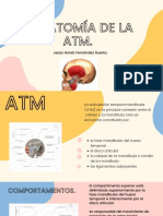 Anatomía de La ATM.