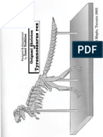 Skeleton of Tyrannosaurus Rex - Issei Yoshino