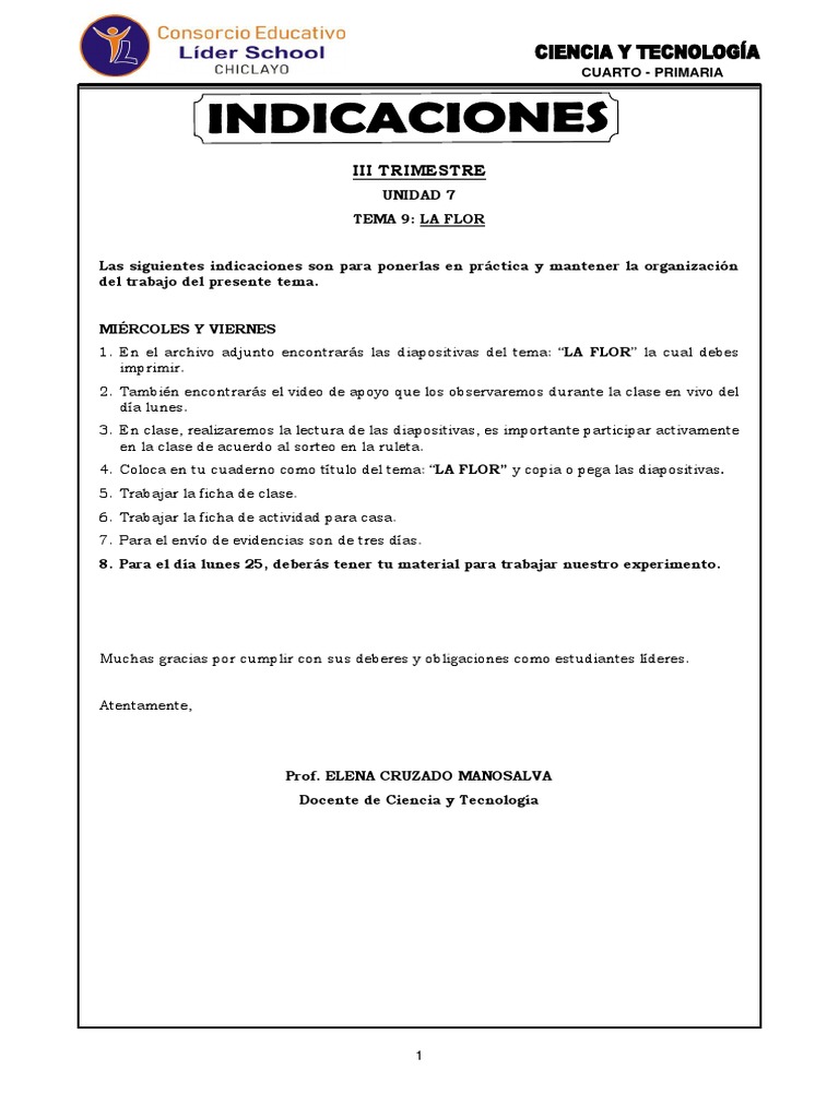 Actividades | PDF | Estudios de idiomas extranjeros