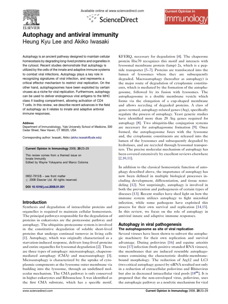 Autophagy's Role in Antiviral Immunity | PDF | Autophagy | Virus