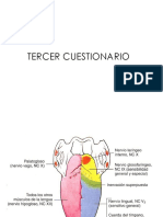 Anatomia de La Cabeza Parte 3 150821