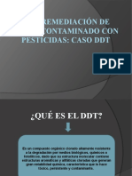 Biorremediación de Suelo Contaminado Con Pesticidas